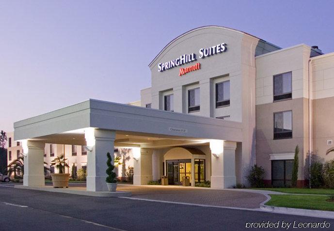Springhill By Marriott Hotel Corpus Christi